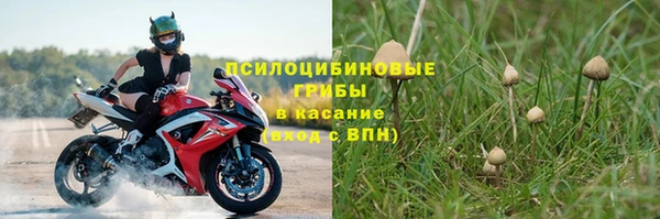 трава Нягань