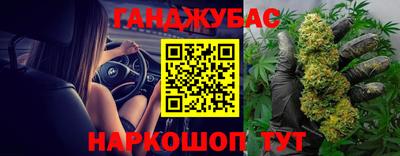 молекула духа Будённовск