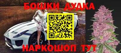 молекула духа Будённовск
