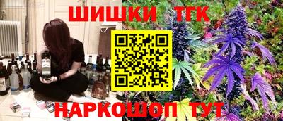 молекула духа Будённовск