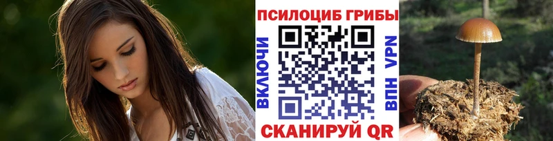 закладка  Ярославль  Псилоцибиновые грибы мухоморы 