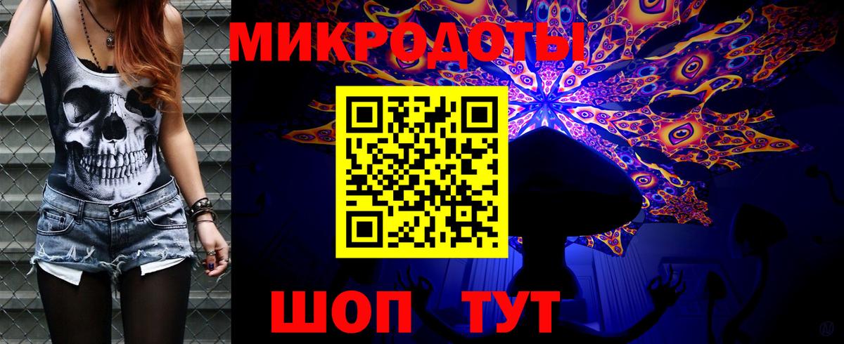 Галлюциногенные грибы Psilocybine cubensis Ярославль
