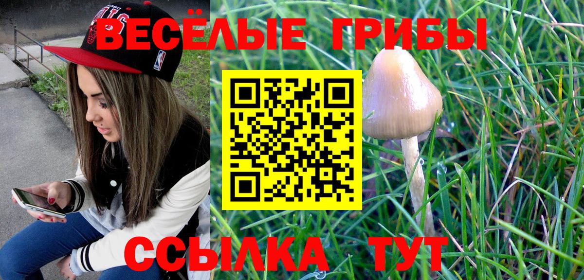 Ярославль  Галлюциногенные грибы Magic Shrooms  Вход с VPN 